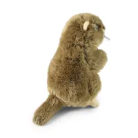 Plyšový svišť 23 cm ECO-FRIENDLY (3)