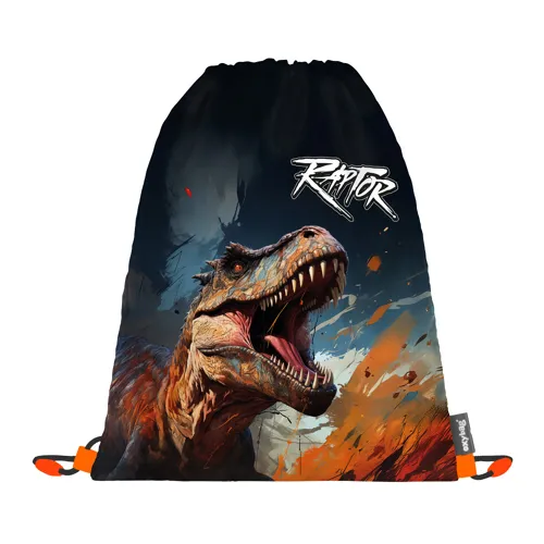 Sáček na cvičky Dino - Karton P+P