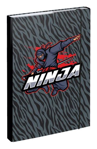 BAAGL Box na školní sešity A4 - Ninja