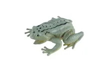 Žába 7 × 7 cm - mix motivů (3)
