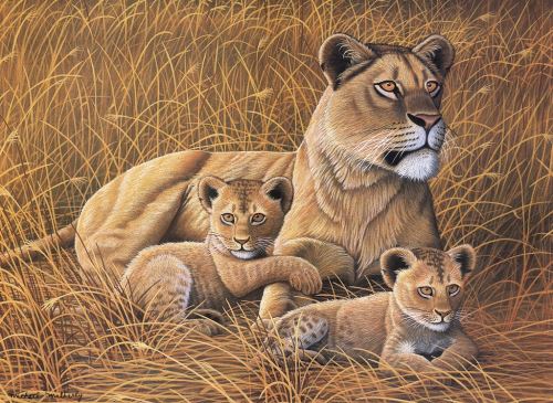 Malování podle čísel 30x40 cm - Lvice a lvíčata