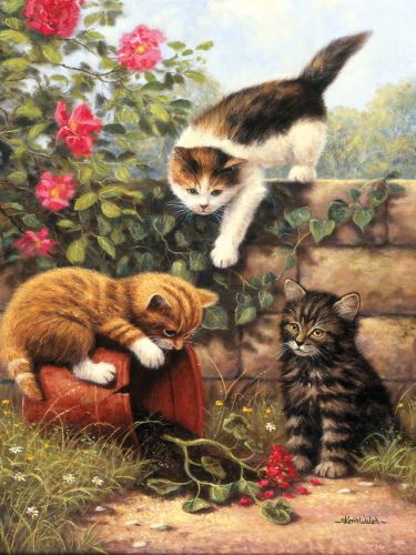 Malování podle čísel 22x30 cm - Koťata