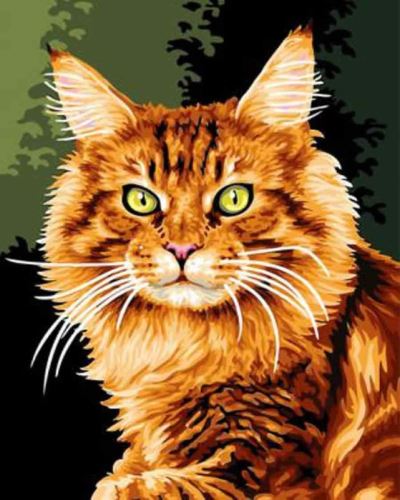 Malovaní na plátno podle čísel 40x50cm - Kočka