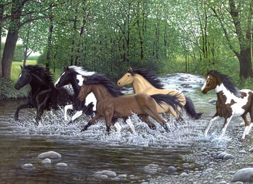 Malování podle čísel 30x40 cm- Běžící koně vodou