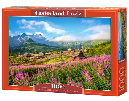 Puzzle Castorland 1000 dílků - Dolina Gąsienicowa, Tatry, Polsko