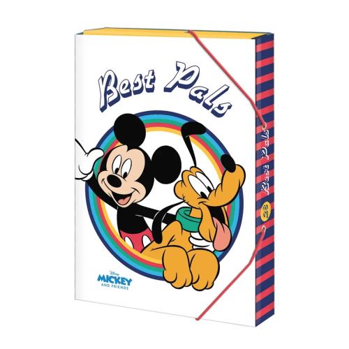 Box na sešity A4 Argus - Disney Mickey