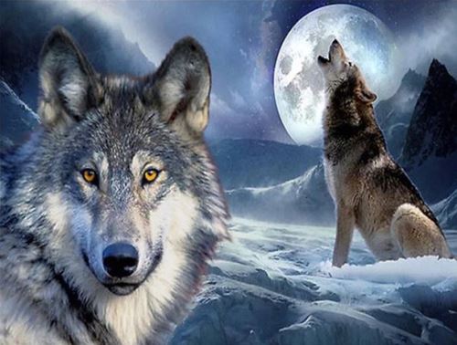 Diamantový obrázek 30x40cm - Vlk v zimě