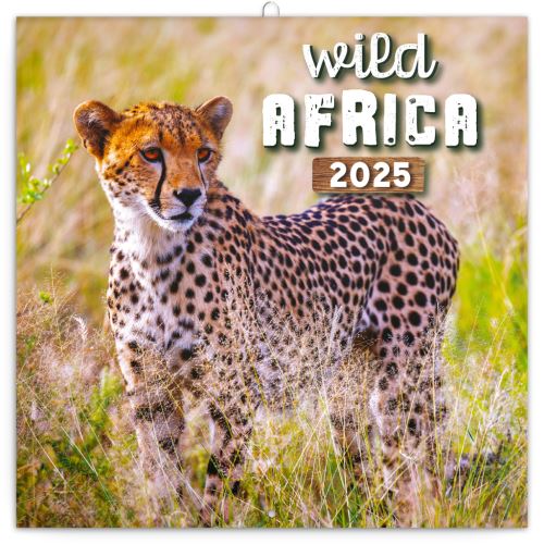 Nástěnný poznámkový kalendář Presco Group 2025 - Divoká Afrika, 30 x 30 cm - BEZ ČEŠTINY