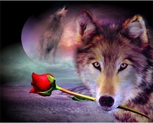 Malovaní na plátno podle čísel 40x50cm - Vlk s růží