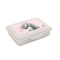 Box na svačinu Karton P+P s přihrádkou - Kůň Romantic