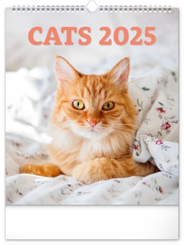 Nástěnný kalendář 2025 Presco Group - Kočky, 30 × 34 cm