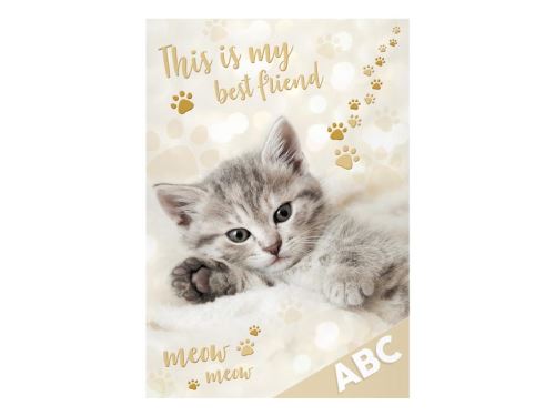 Desky na ABC MFP - Kočka