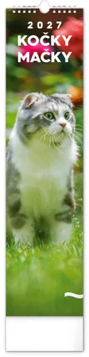 Nástěnný kalendář 2027 Notique kravata Kočky, 12 x 48 cm