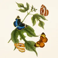 Nástěnný kalendář poznámkový 2027 Notique Motýli 2027, 30 x 30 cm (10)