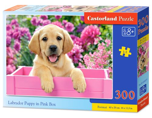 Puzzle Castorland 300 dílků - Labrador v růžovém boxu