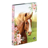 Box na sešity A5 KARTON P+P - Kůň 1