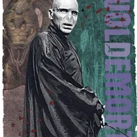 Nástěnný kalendář poznámkový 2027 Notique Harry Potter, 30 x 30 cm (13)