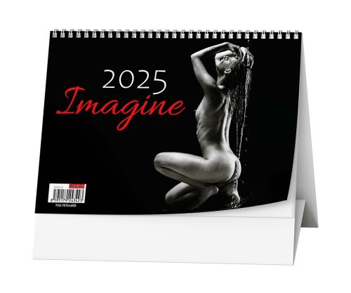 Stolní kalendář 2025 Baloušek - Imagine