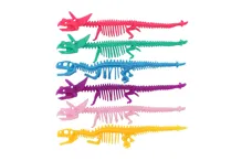 Antistresová natahovací kostra dinosaura 22 cm - mix barev (4)