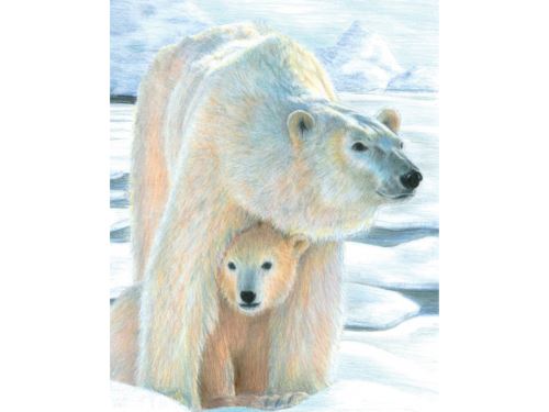 Malování podle čísel PASTELKAMI 22x28cm - Lední medvěd
