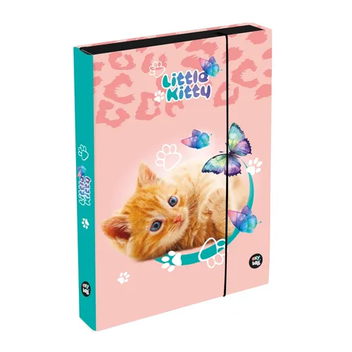 Box na sešity A4 Jumbo KARTON P+P - Kočka