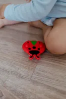 Točáček beruška 8 cm (4)