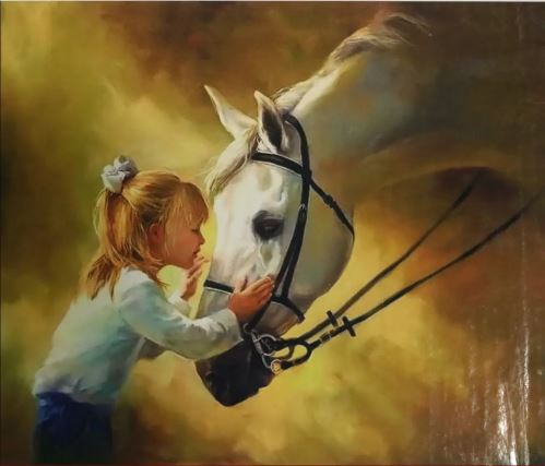 Malovaní na plátno podle čísel 40x50cm - Kůň s dívkou