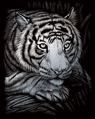 Vyškrabovací obrázek- Tygr - SILF38