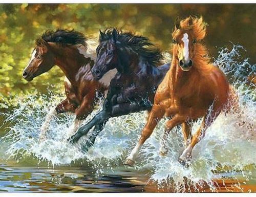 Malovaní na plátno podle čísel 40x50cm - Koně v běhu