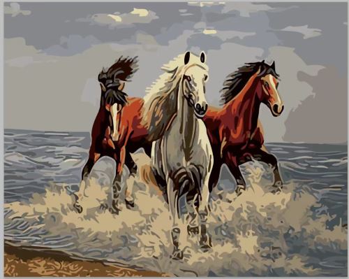 Malovaní na plátno podle čísel 40x50cm - Koně ve vlnách