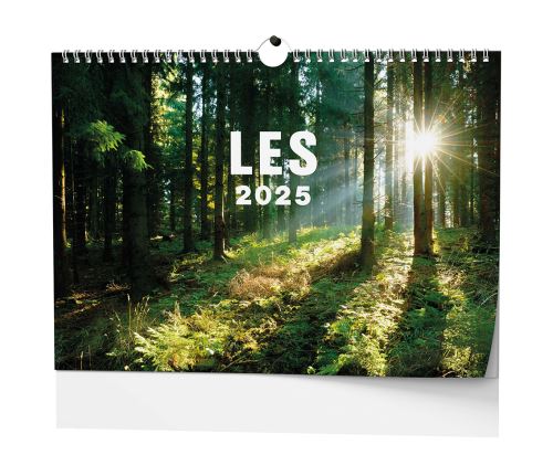 Nástěnný kalendář 2025 Baloušek - Les
