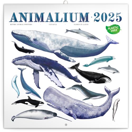 Nástěnný poznámkový kalendář Presco Group 2025 - Animalium, 30 x 30 cm