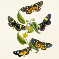 Nástěnný kalendář poznámkový 2027 Notique Motýli 2027, 30 x 30 cm (11)