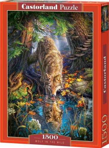 Puzzle Castorland 1500 dílků - Pijící vlk v divočině