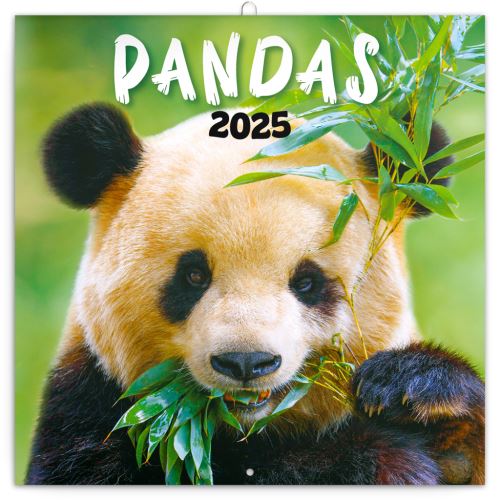 Nástěnný poznámkový kalendář Presco Group 2025 - Pandy, 30 × 30 cm