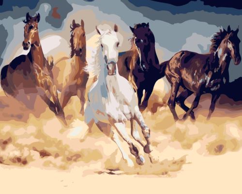 Malovaní na plátno podle čísel 40x50cm - Koně v písku