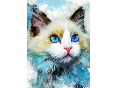 Diamantový obrázek - Kočka, akvarel 30x40cm