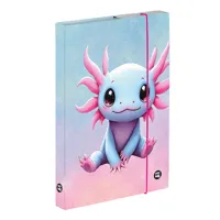 Box na sešity A5 KARTON P+P - Axolotl