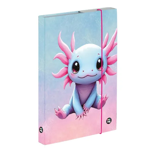 Box na sešity A5 KARTON P+P - Axolotl