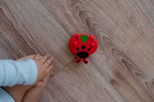 Točáček beruška 8 cm (5)