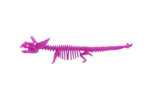 Antistresová natahovací kostra dinosaura 22 cm - mix barev (5)