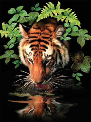 Malování podle čísel 22x30cm - Tygr u vody
