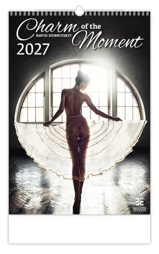 Nástěnný kalendář 2027 Helma Charm of the Moment