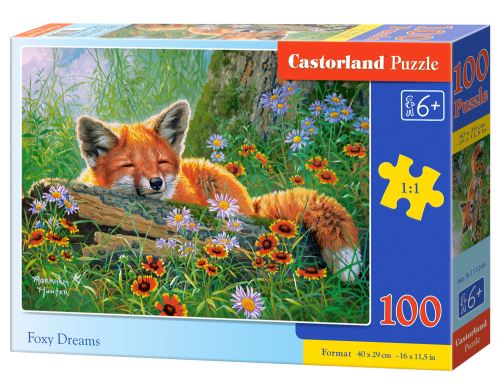 Puzzle Castorland 100 dílků premium - Liščí snění
