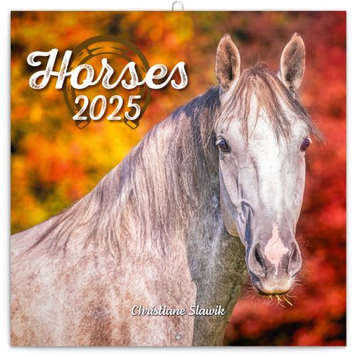 Nástěnný poznámkový kalendář Presco Group 2025 - Koně – Christiane Slawik, 30 × 30 cm