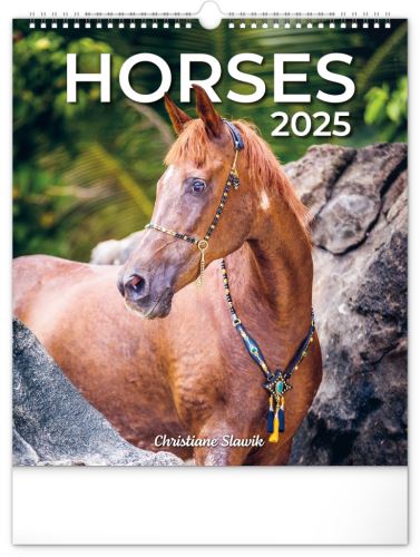 Nástěnný kalendář 2025 Presco Group - Koně, 30 × 34 cm