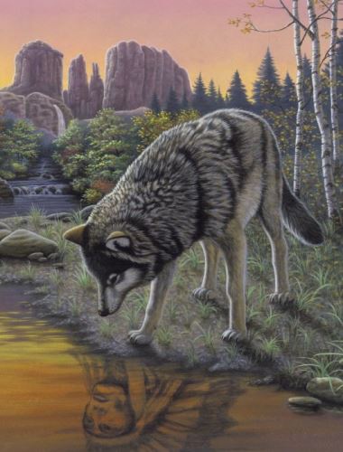 Malování podle čísel 22x30 cm - Vlk