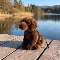 Plyšový pes labrador 25 cm ECO-FRIENDLY (4)