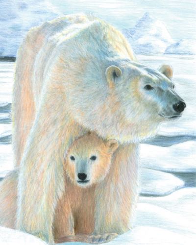 Malování podle čísel PASTELKAMI 22x28cm - Lední medvěd