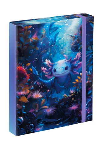 Box na školní sešity A5 BAAGL - Axolotl